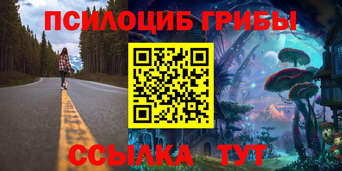Можга  цена   Вход с VPN  Галлюциногенные грибы мицелий  Псилоцибиновые грибы Psilocybe 